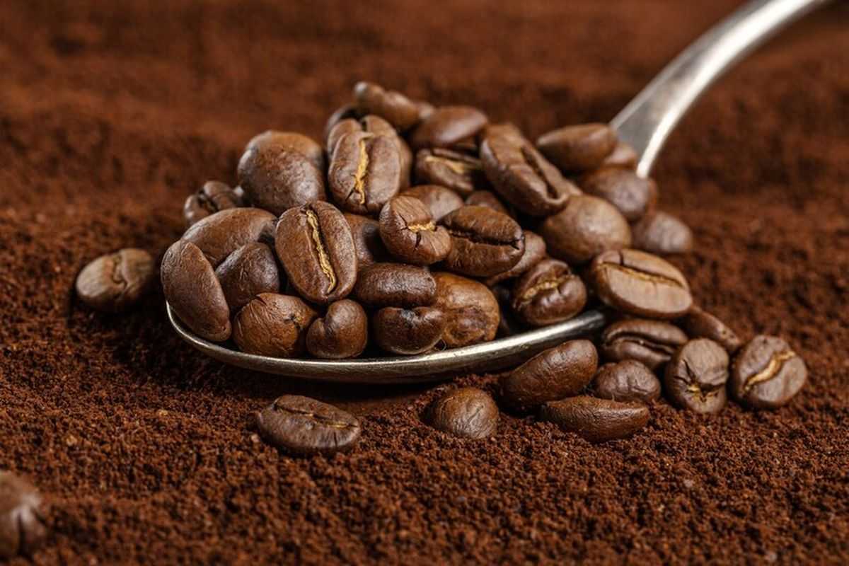 Pengolahan Kopi Lampung