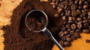 Pengolahan Kopi Malang